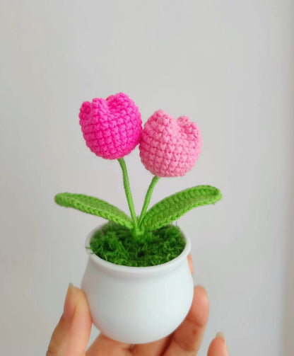 Crocheted Flower Pot Décor for Bookshelf