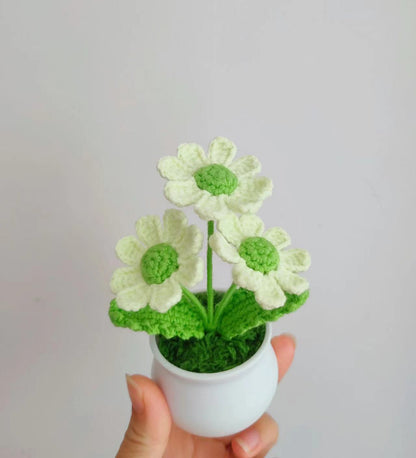 Delicate Handmade Crochet Daisy Plant Décor for Special Occasions
