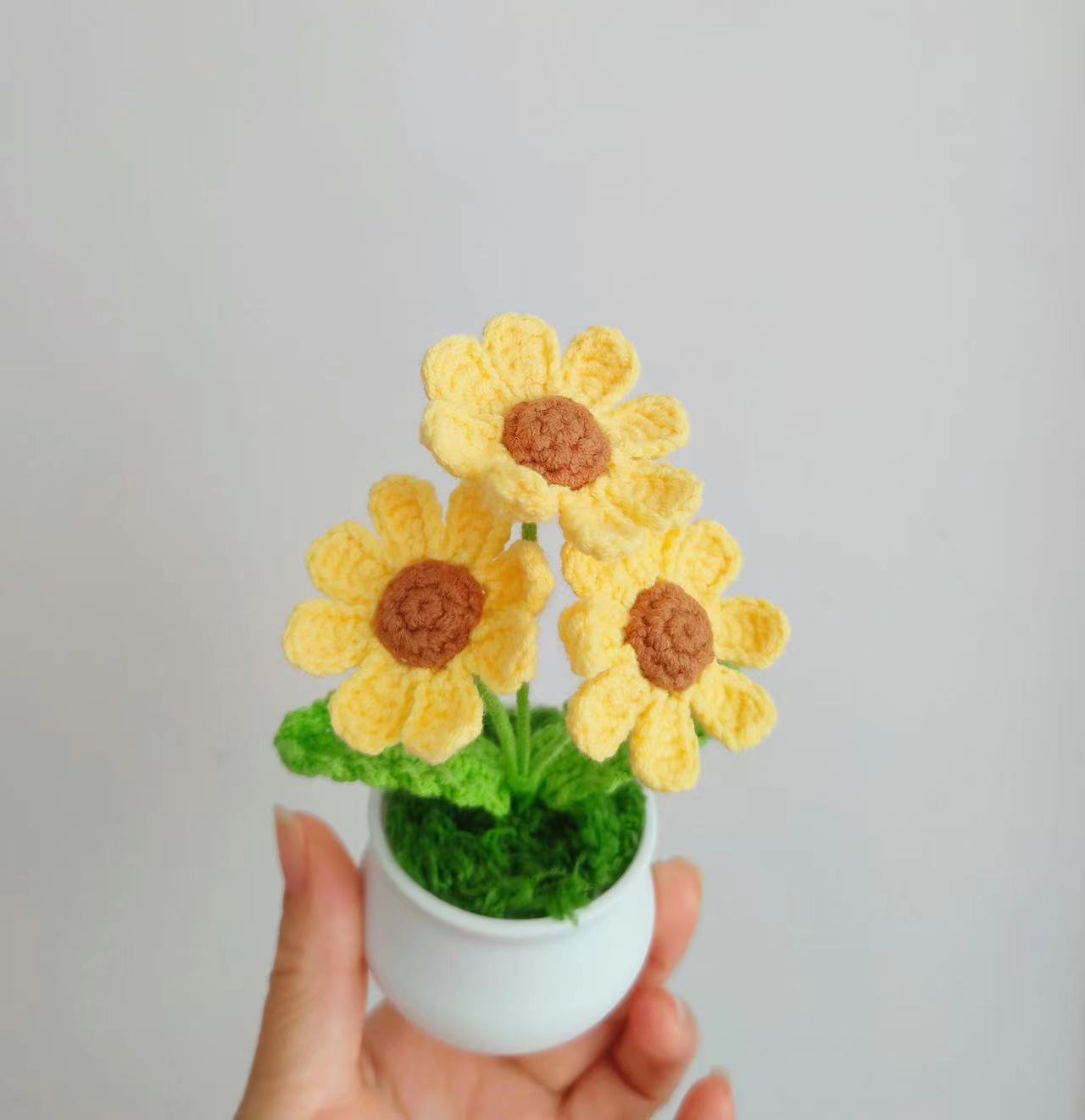 Crochet Flower Pot Decoration for Gift Giving