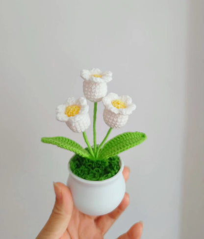 Crocheted Blossom Mini Pot Display