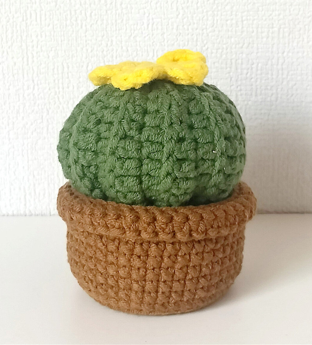 Crochet Cactus Pot for Indoor Plant Display