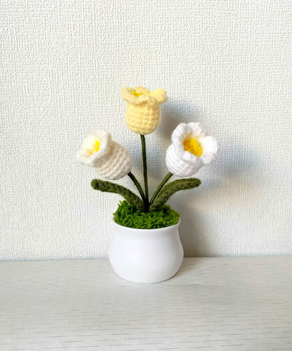 Delicate Crochet Tulip Plant Pot for Gifting Occasions
