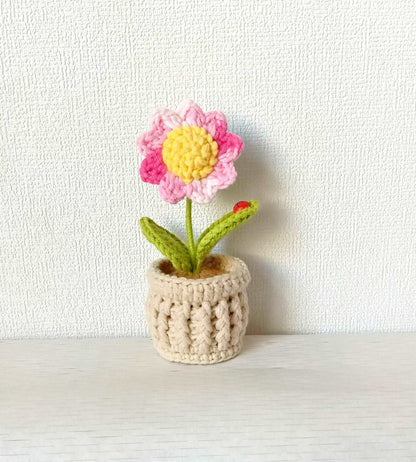 Rustic Handmade Sunflower Crochet Pot Display