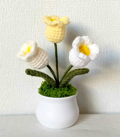 Exquisite Handmade Crocheted Tulip Flower Pot for Home Decor